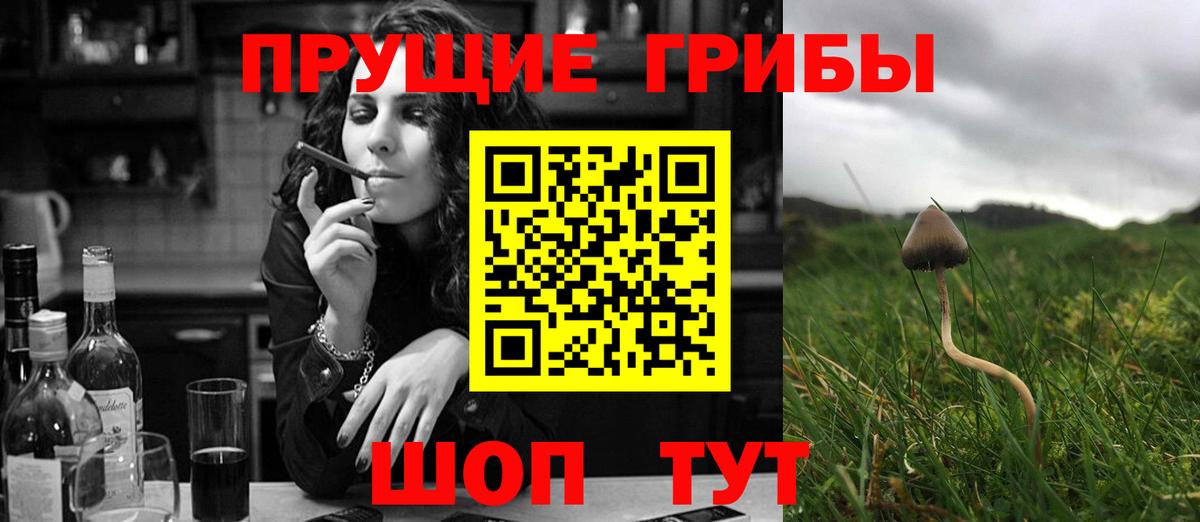 Строитель  Псилоцибиновые грибы GOLDEN TEACHER  Вход с VPN 